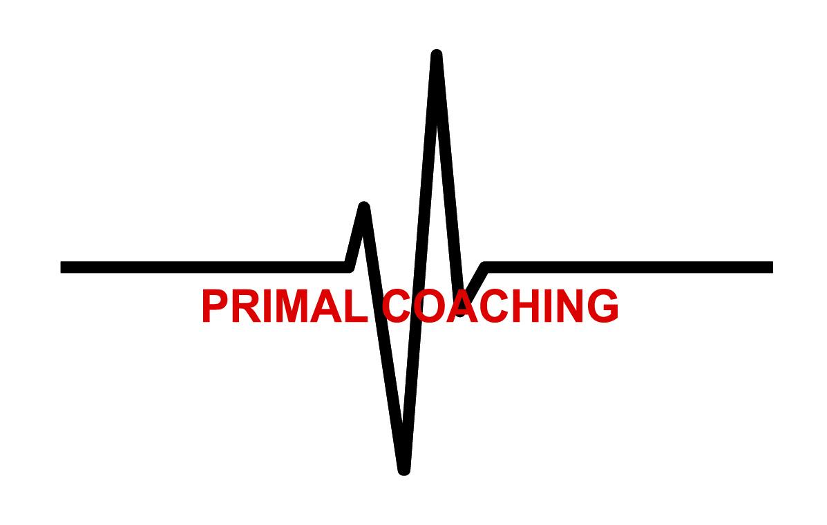Primal Coaching Skräddarsyr ditt träningsprogram